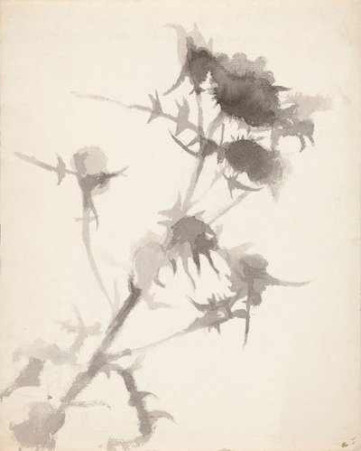  作： Maria Wiik