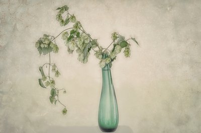 「グリーンホップスの静物画」 作： Marie-anne Stas