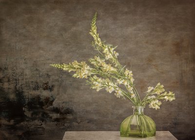 素朴な花の静物画 作： Marie-anne Stas
