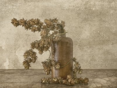 素朴なホップの静物画 作： Marie-anne Stas