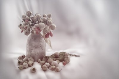  作： Marie-anne Stas