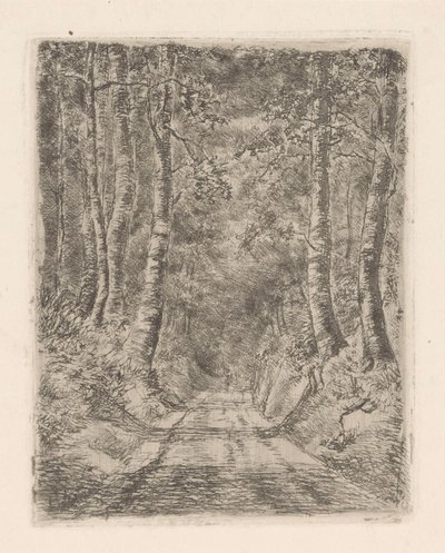 沈んだ道沿いの森 作： Marie Adolphine van der Goes van Dirxland