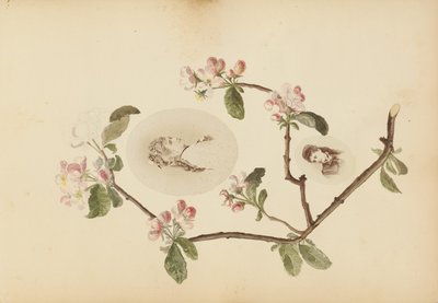 マダムBアルバム 作： Marie Blanche Hennelle Fournier