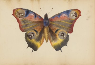 マダム B アルバム、1870 年代。 作： Marie Blanche Hennelle Fournier