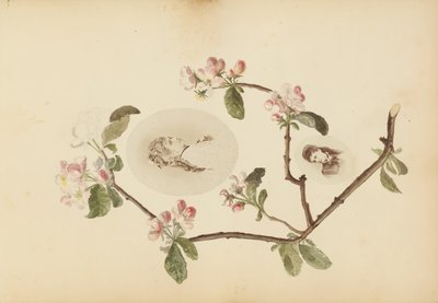 マダム B アルバム、1870 年代。 作： Marie Blanche Hennelle Fournier
