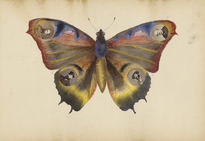 マダムBアルバム、1870年代 作： Marie Blanche Hennelle Fournier