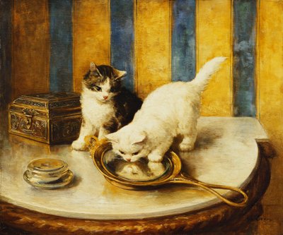 猫の反射 作： Marie Yvonne Laur