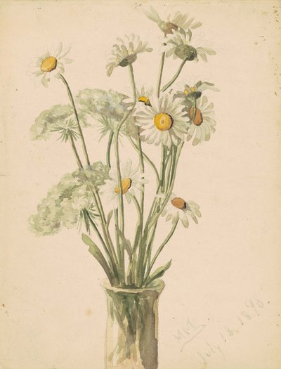 花瓶の中のヒナギクとクイーンアンレース、1890年（上質紙に水彩とグラファイト） 作： Marietta Minnegerode Andrews
