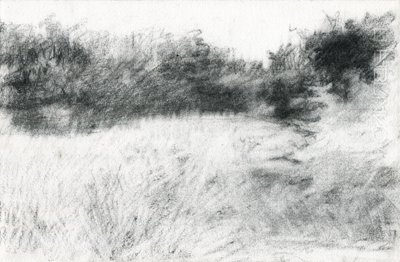 風景、2021年（木炭、紙） 作： Marina Falco