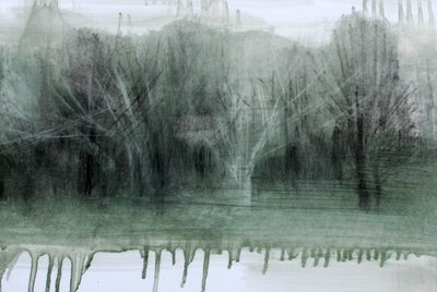 見えないブッシュ、2023年（油彩、木炭、紙） 作： Marina Falco
