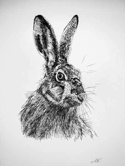 好奇心旺盛なウサギの絵 作： Marina Kozyr