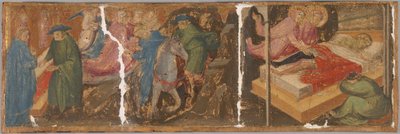聖コスマスとダミアンの伝説の一場面 作： Mariotto di Nardo