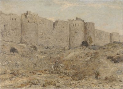  作： Marius Alexander Jacques Bauer