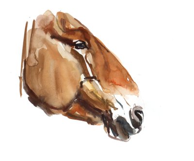 古代の頭（Przewalski）2012、（紙に水彩） 作： Mark Adlington