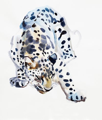 アラビアヒョウ、2008 作： Mark Adlington