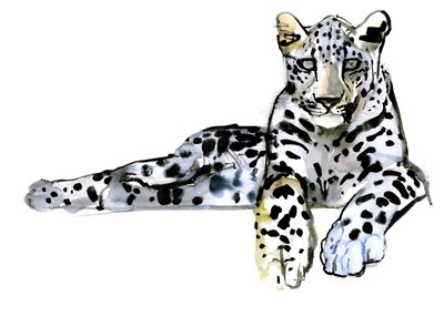 アラビアヒョウ、2008 作： Mark Adlington