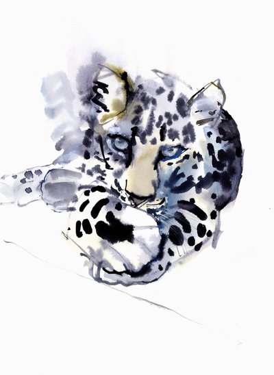アラビアヒョウ、2008 作： Mark Adlington