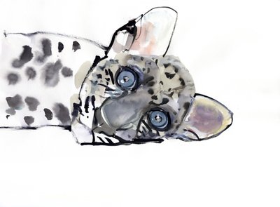 アラビアヒョウ、2008 作： Mark Adlington