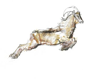 アラビアンタール、2009年（紙にコンテと木炭） 作： Mark Adlington