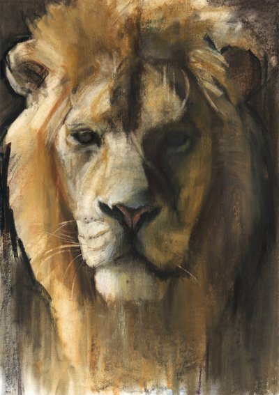 Asiatic Lion、2015年（顔料、パステル、紙に含まれる） 作： Mark Adlington