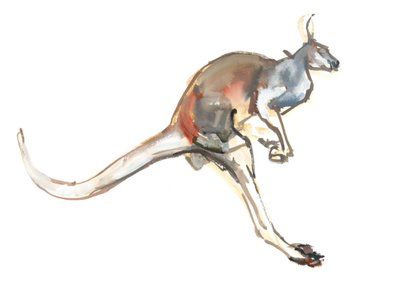 Boing、（Red Kangaroo）、2012、（水彩と紙の上の顔料） 作： Mark Adlington