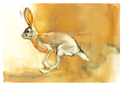 ケープヘア、2010年（紙に油彩） 作： Mark Adlington