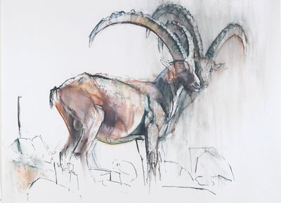 コルディヴェルミアナズ（木炭と紙のコンテ） 作： Mark Adlington