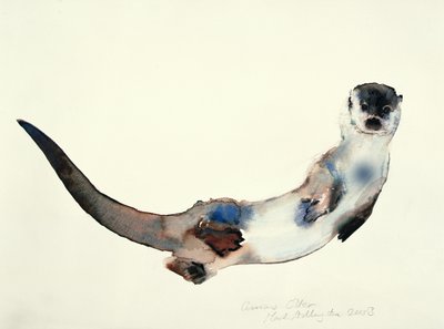 好奇心旺盛なカワウソ、2003 作： Mark Adlington