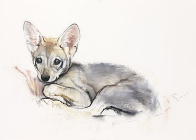 カールアラビアのオオカミの子犬、2009年（紙に炭と炭） 作： Mark Adlington