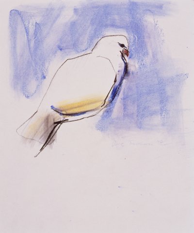 鳩、トラシエラ、1998（グラファイト、木炭、紙のコンテ） 作： Mark Adlington