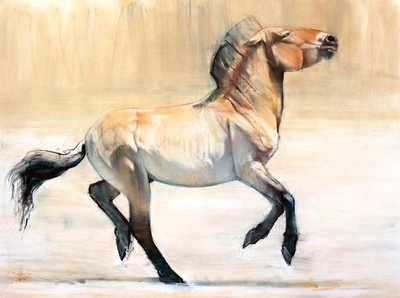 Equus（Przewalski）、2014、（紙にパステルと木炭） 作： Mark Adlington