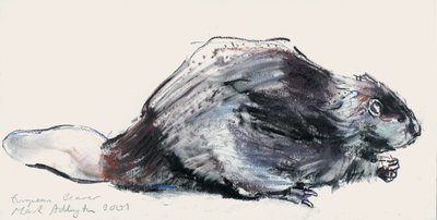European Beaver（Study）2001（charcoal und conte on paper） 作： Mark Adlington