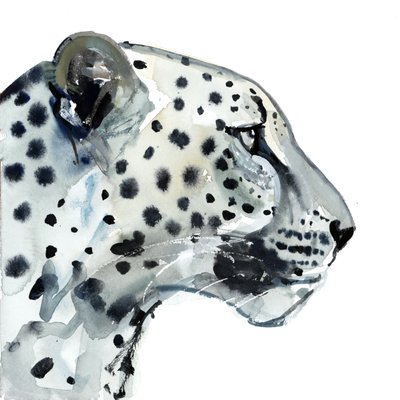 フォーカス、2015年（紙に水彩） 作： Mark Adlington