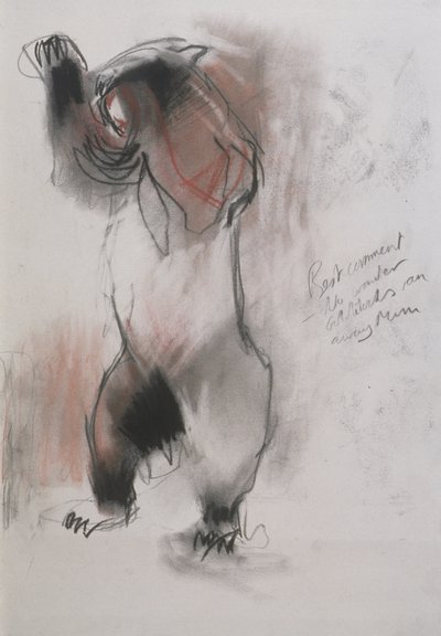 グリズリー、1995年（木炭、グラファイト、紙にコント） 作： Mark Adlington