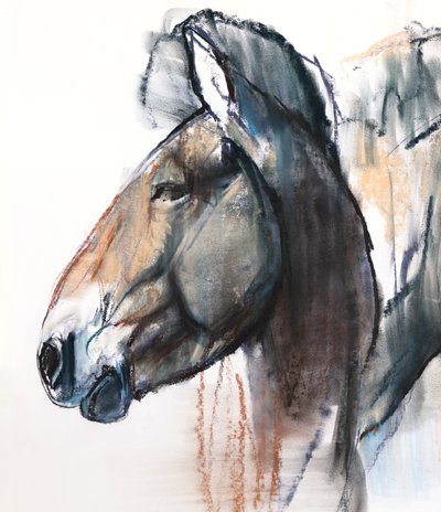 ヘッドスタディ、Przewalski、2013、（詳細）、（パステルと木炭、紙） 作： Mark Adlington