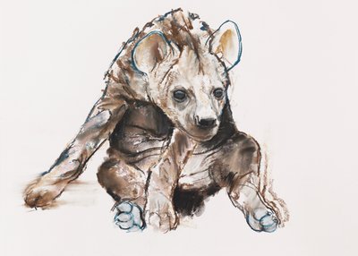ハイエナの子犬（頭を下げて）、2019年 作： Mark Adlington