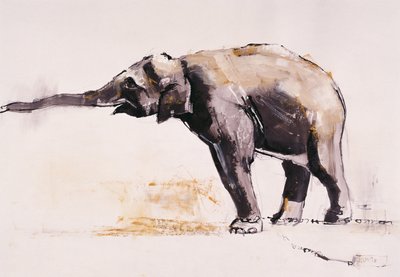 インド象、カナ（紙のミクストメディア） 作： Mark Adlington