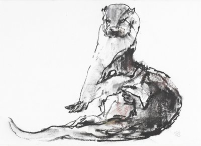 Lutra lutra（木炭と紙のコンテ） 作： Mark Adlington
