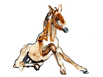 黄土色の子馬（Przewalski）、2013（sennelierインク、水彩、ガッシュ） 作： Mark Adlington