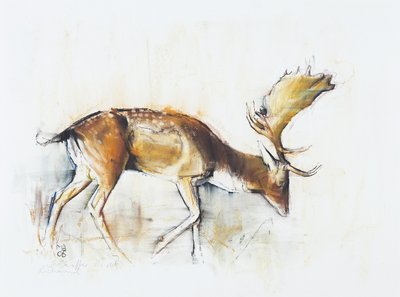 Pisanello Buck、2006年（木炭と紙のコンテ） 作： Mark Adlington