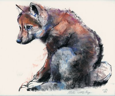 ポーランドのオオカミの子犬、2001年（木炭と紙のコンテ） 作： Mark Adlington