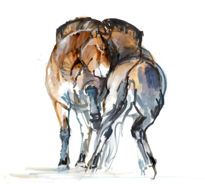 パワーダンス（Przewalski）、2013年（sennelierインク、水彩、ガッシュ） 作： Mark Adlington