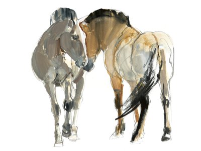 Rencontre（Przewalski）、2013、（紙に水彩と顔料） 作： Mark Adlington