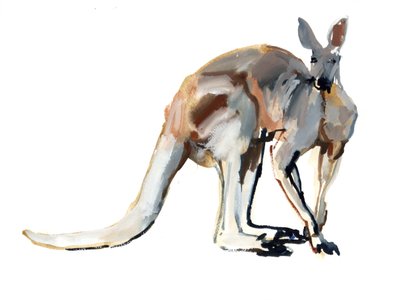 Roo、（Red Kangaroo）、2012、（水彩と紙の上の顔料） 作： Mark Adlington