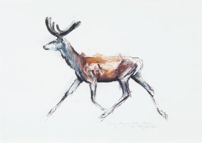 ベルベットでのクワガタの走り、ポルセン、2006（紙に木炭とコント） 作： Mark Adlington