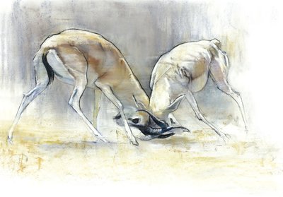 砂のガゼル」2009年（紙にコンテと木炭 作： Mark Adlington