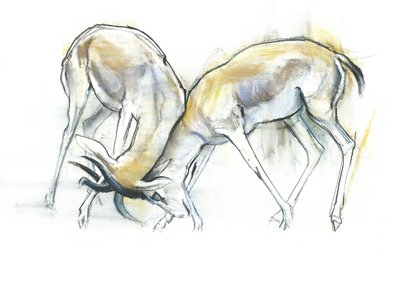 砂のガゼル、2009（紙にコンテと木炭） 作： Mark Adlington