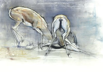 砂のガゼル、2009（紙にコンテと木炭） 作： Mark Adlington