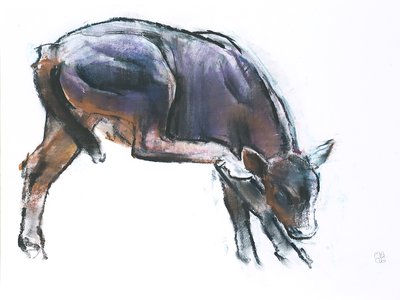 Scratching Calf、2006年（紙に木炭とコント） 作： Mark Adlington