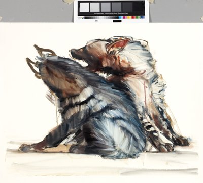 争うストライプ、2010 作： Mark Adlington